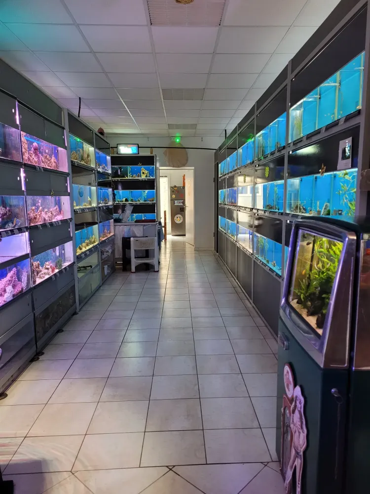 Conseil en aquarium d'eau douce à Beaufort-Orbagna