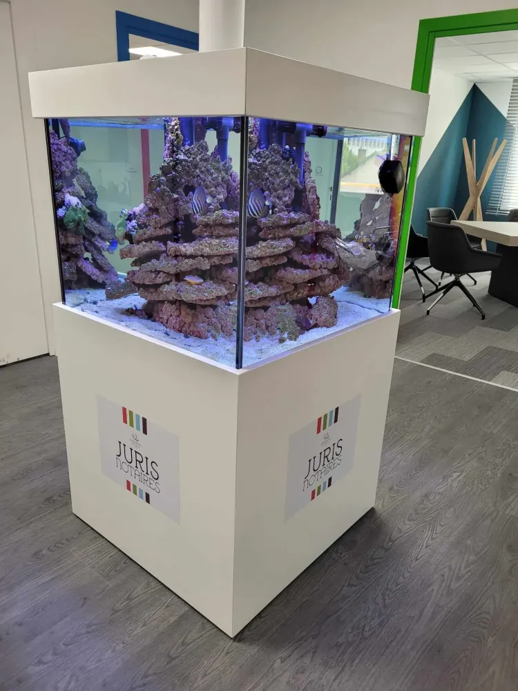 Installation aquarium à Beaufort-Orbagna