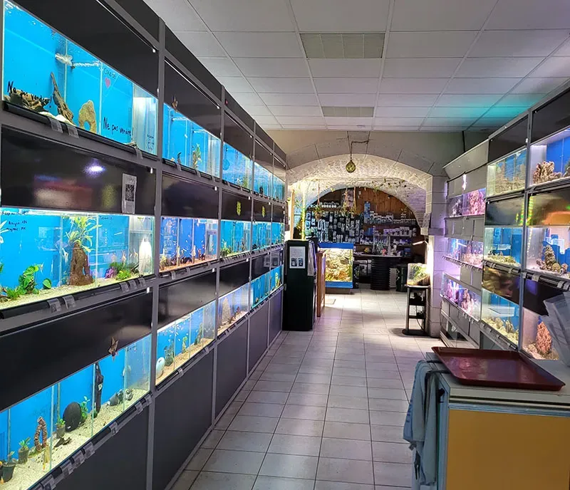 Couloir de la boutique entouré d'aquariums